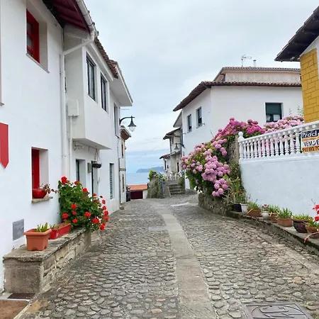 Casa Gin * Tazones